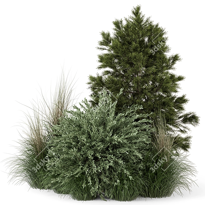 2015 Outdoor Plants Bush Set 3D model image 5