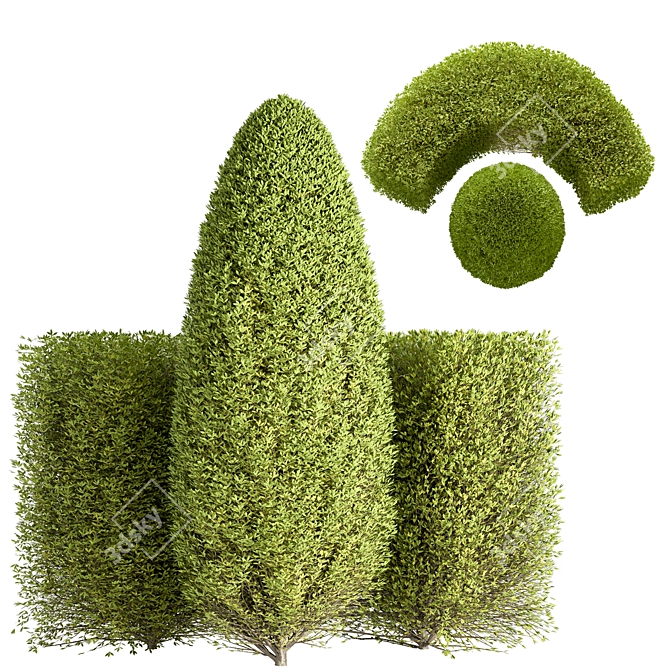 Versatile Bush Set - 2017 3D model image 1