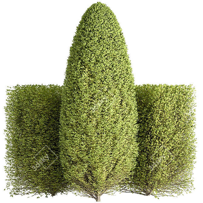 Versatile Bush Set - 2017 3D model image 2