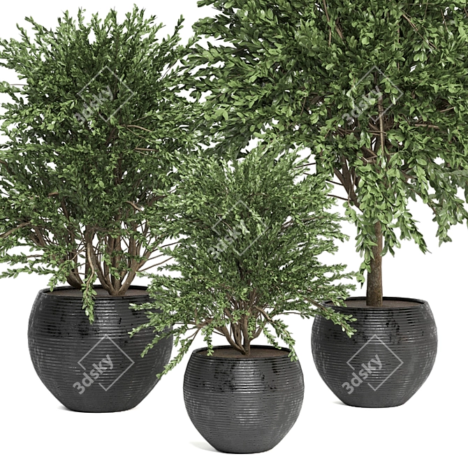 Lush Indoor Plants Collection - Set 194 3D model image 4