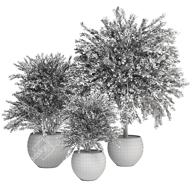 Lush Indoor Plants Collection - Set 194 3D model image 5