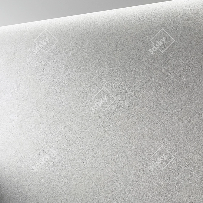 Seamless Concrete Plaster Texture 3D model image 2