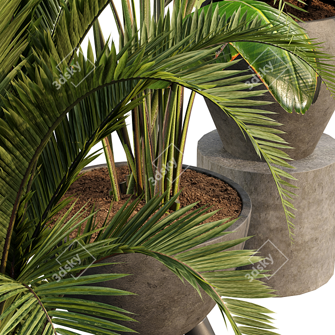 Zen Garden: Bamboo Oasis 3D model image 2