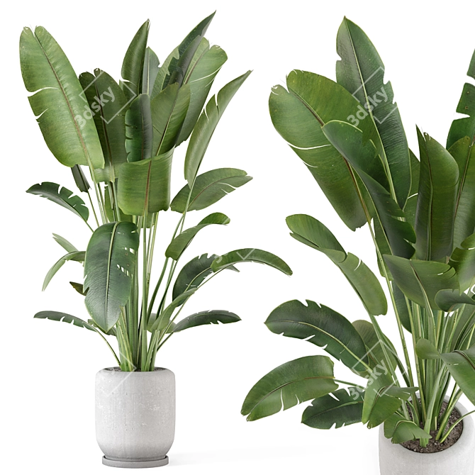 Rustic Indoor Plant Set - Concrete Pot 3D model image 2