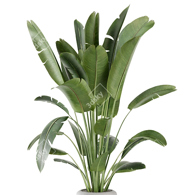 Rustic Indoor Plant Set - Concrete Pot 3D model image 4