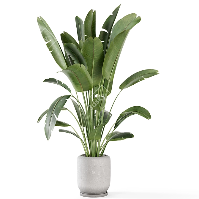 Rustic Indoor Plant Set - Concrete Pot 3D model image 5