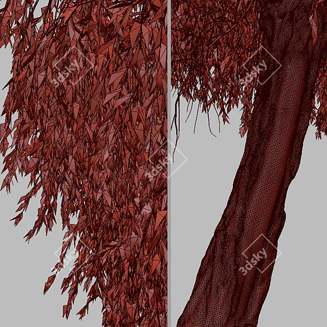 Peppermint Willow Tree Set (2 Trees) 3D model image 7
