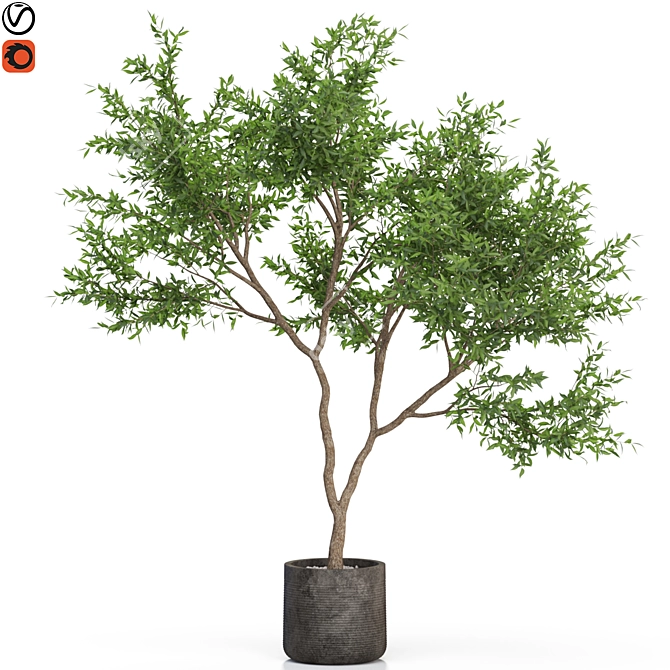 Exquisite Plant Collection: 621 3D model image 1