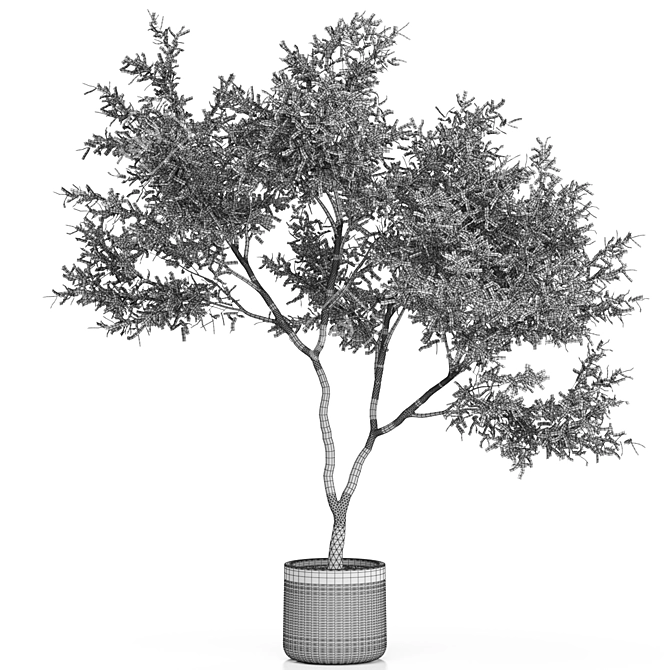 Exquisite Plant Collection: 621 3D model image 4