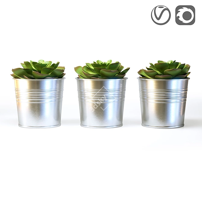 FEJKA FAKE Succulent Plant 3D model image 1