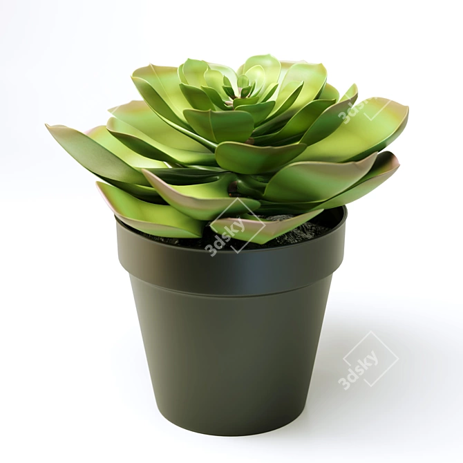 FEJKA FAKE Succulent Plant 3D model image 9