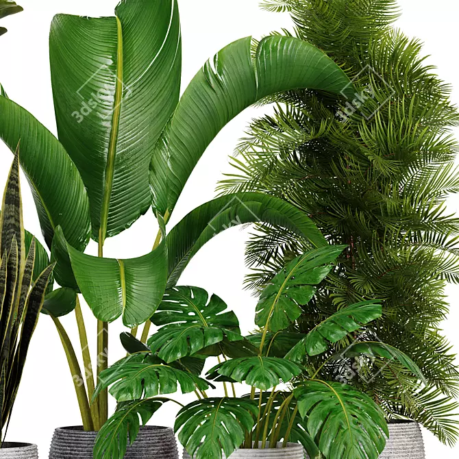 Indoor Green Oasis: High-Quality Plant Collection 3D model image 2