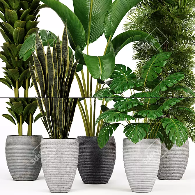 Indoor Green Oasis: High-Quality Plant Collection 3D model image 4