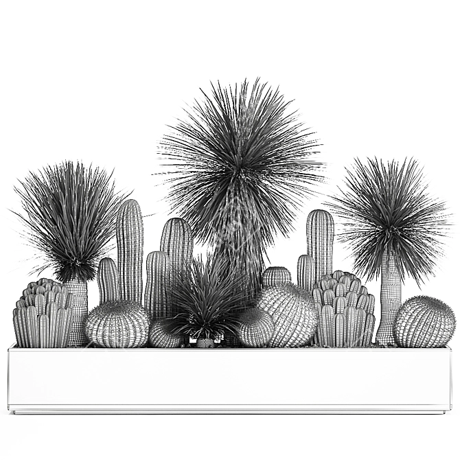 Tropical Plant Collection in Concrete Pots 3D model image 7
