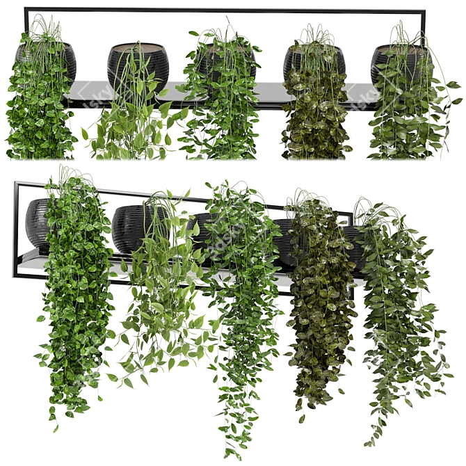 Modern Concrete Pot Indoor Plants 3D model image 1