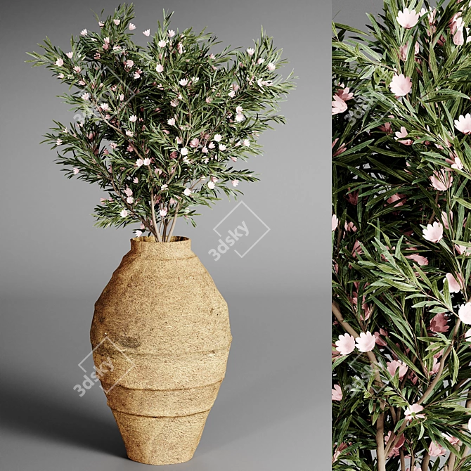 Indoor Plant Collection: 25 Varieties 3D model image 3