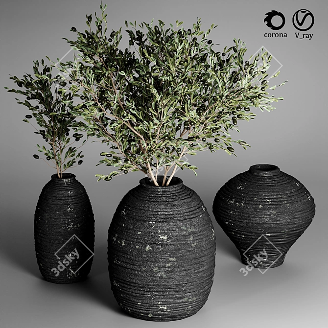 Indoor Plant Collection 26 3D model image 2