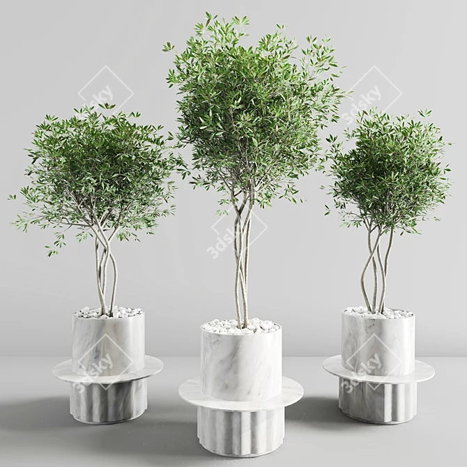 Premium Plant Collection 3D model image 3