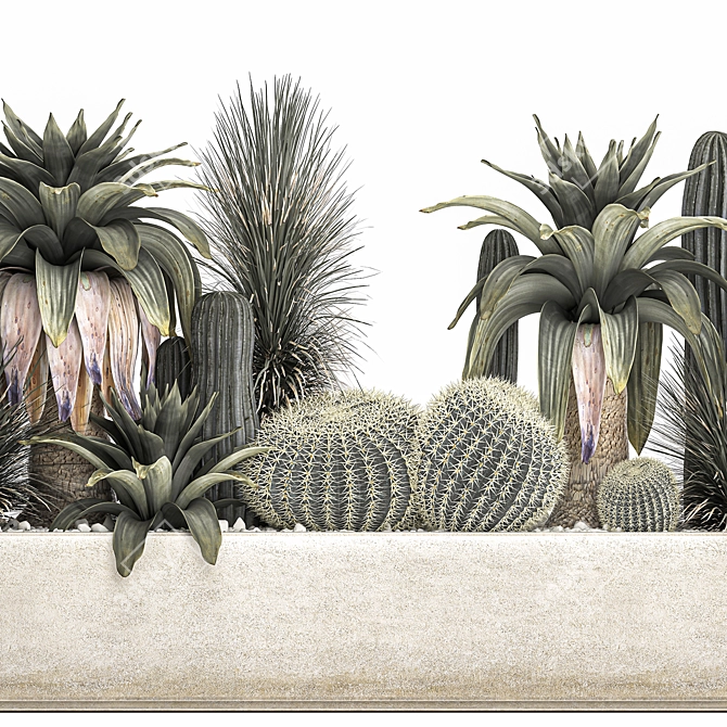 Tropical Plant Collection in Concrete Pots 3D model image 3