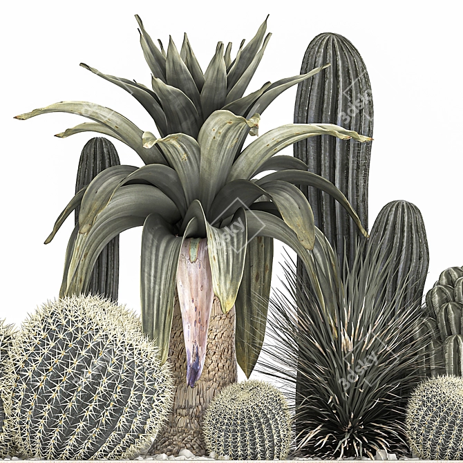 Tropical Plant Collection in Concrete Pots 3D model image 5