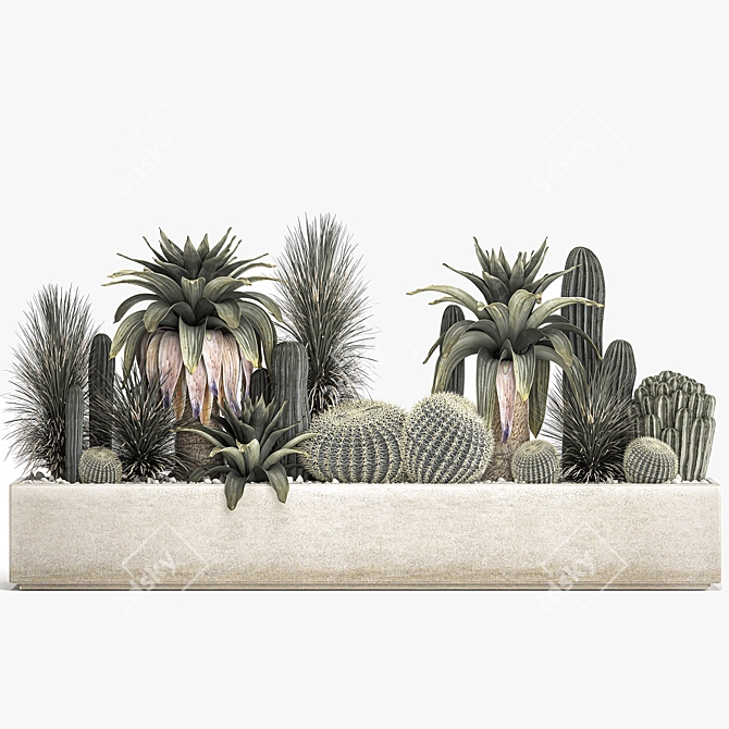 Tropical Plant Collection in Concrete Pots 3D model image 6