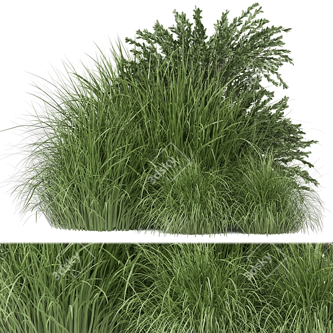 Outdoor Bush Plants Set 197 | 3dsMax + Vray/Corona 3D model image 1
