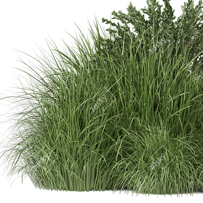 Outdoor Bush Plants Set 197 | 3dsMax + Vray/Corona 3D model image 2