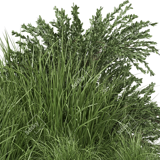 Outdoor Bush Plants Set 197 | 3dsMax + Vray/Corona 3D model image 3