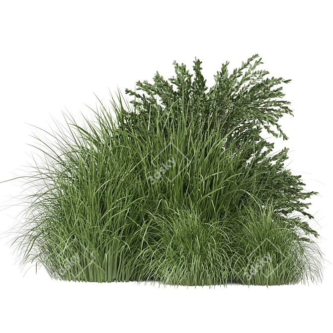 Outdoor Bush Plants Set 197 | 3dsMax + Vray/Corona 3D model image 4