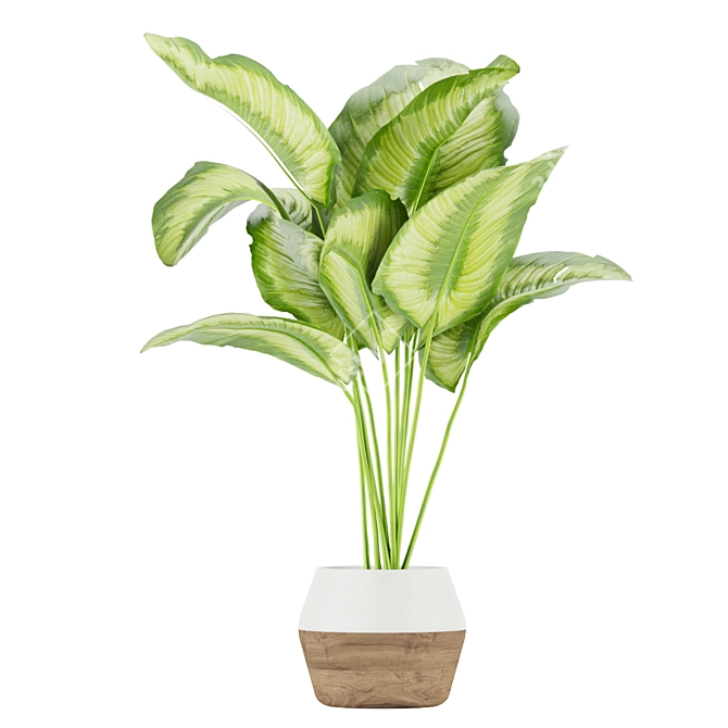 Premium Aglaonema Indoor Plant: Collection Vol. 298 3D model image 5