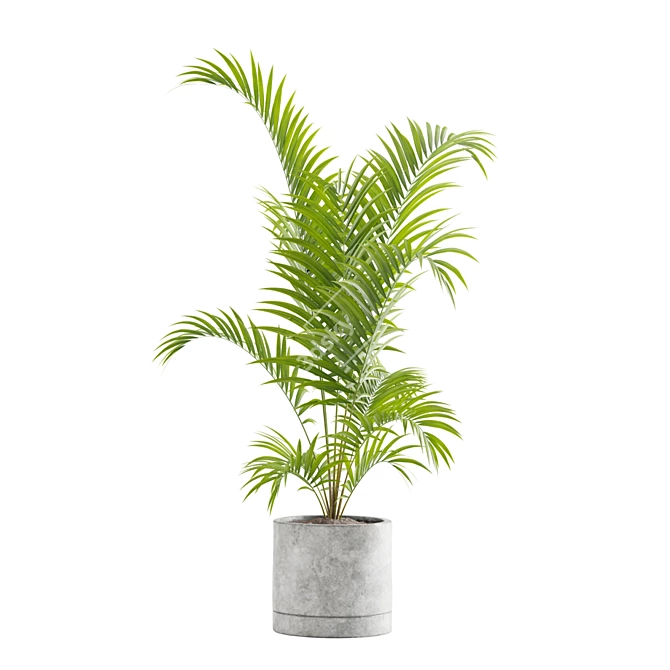 Exotic Indoor Plants Collection 3D model image 4