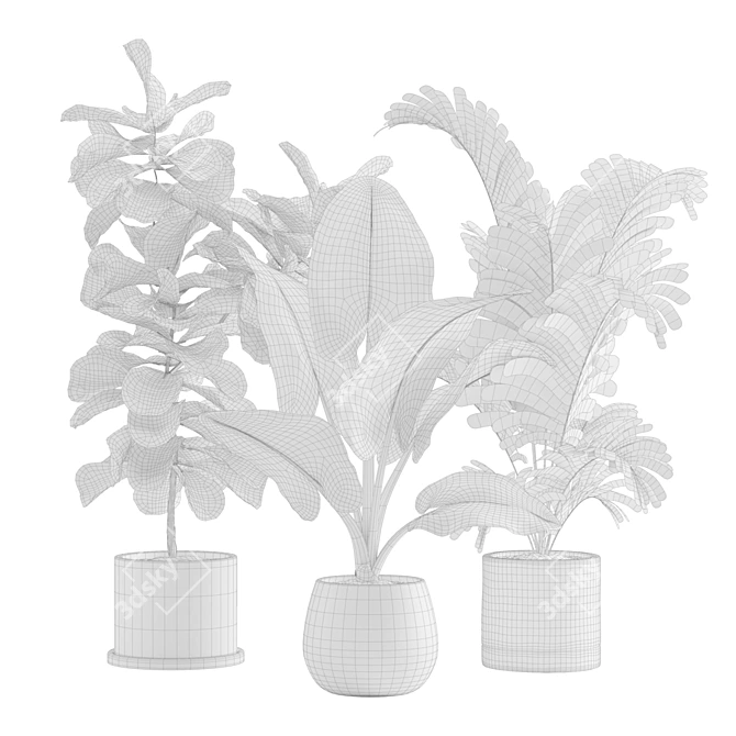 Exotic Indoor Plants Collection 3D model image 5