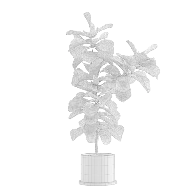 Exotic Indoor Plants Collection 3D model image 7