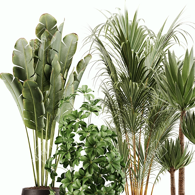 Green Oasis Indoor Plant Set 3D model image 5