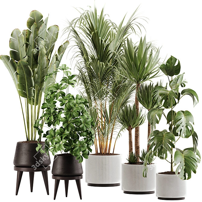 Green Oasis Indoor Plant Set 3D model image 7