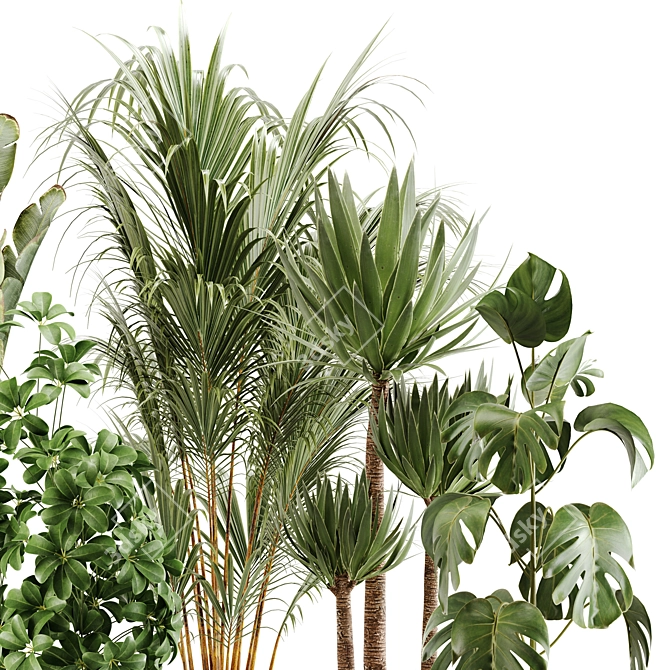 Green Oasis Indoor Plant Set 3D model image 10