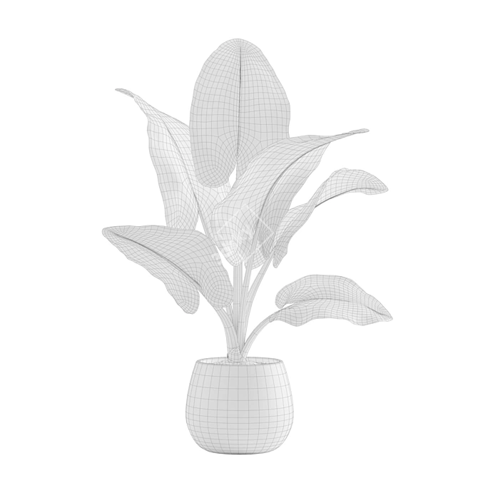 Giant Taro: Tropical Beauty for Indoors 3D model image 5