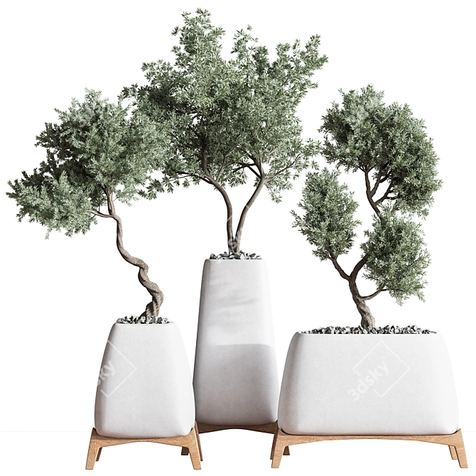 Green Haven Indoor Plant Set 3D model image 1