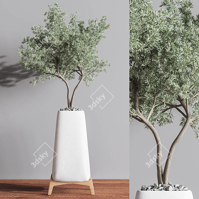 Green Haven Indoor Plant Set 3D model image 3