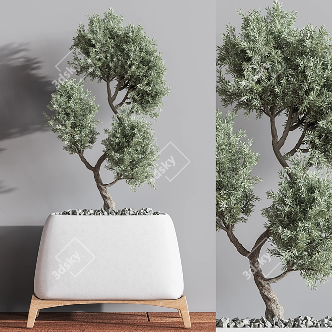 Green Haven Indoor Plant Set 3D model image 4