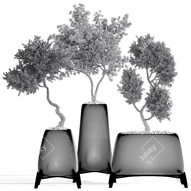 Green Haven Indoor Plant Set 3D model image 6