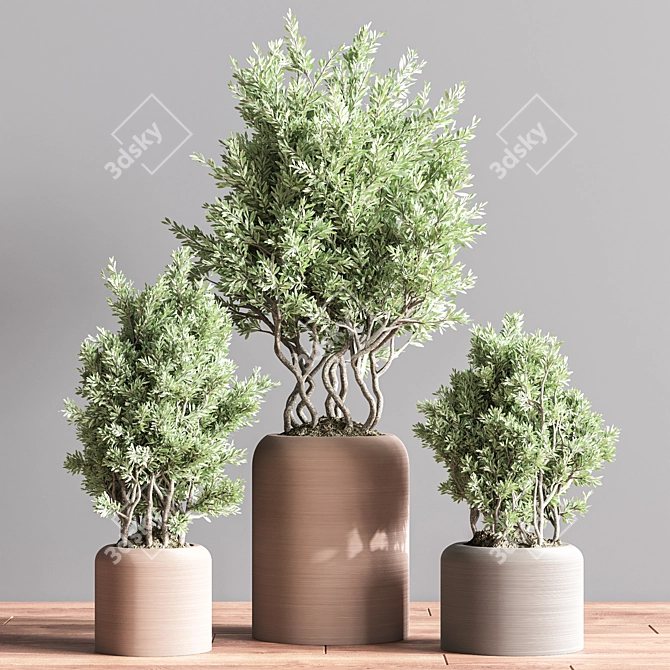 Lush Indoor Plant Set 74 3D model image 3