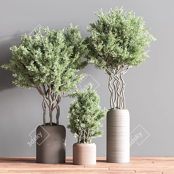 Lush Indoor Plant Set 74 3D model image 4