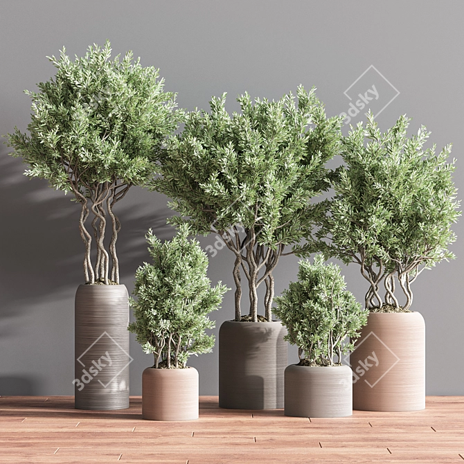 Lush Indoor Plant Set 74 3D model image 5