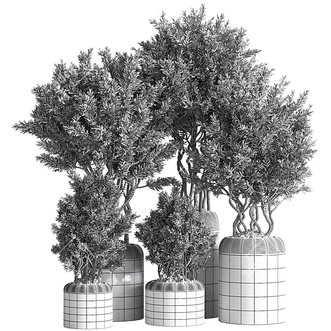Lush Indoor Plant Set 74 3D model image 7