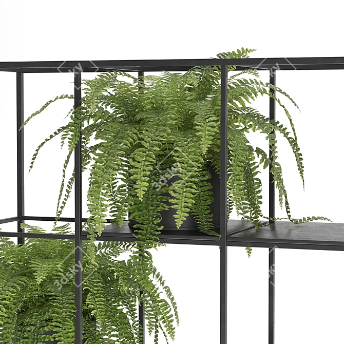 Tall Metal Indoor Plant Display 3D model image 5