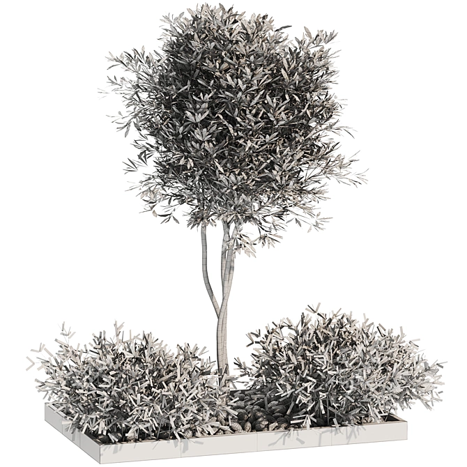 Premium Plant Collection 3D model image 2