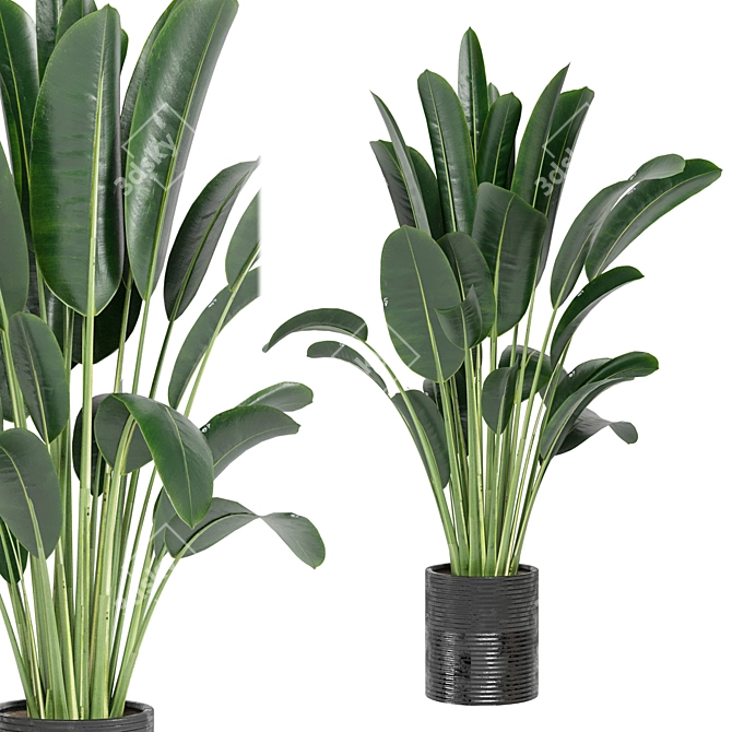 Indoor Plants Collection - Set 198: 3D Model Bundle 3D model image 1