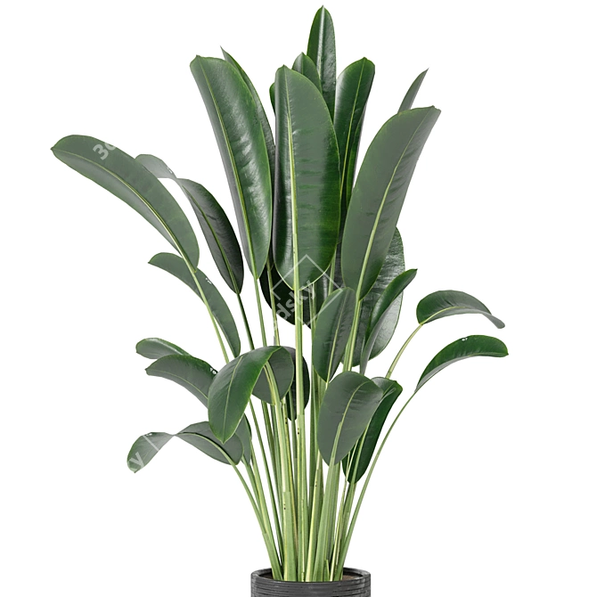 Indoor Plants Collection - Set 198: 3D Model Bundle 3D model image 4