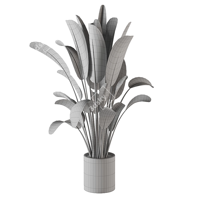 Indoor Plants Collection - Set 198: 3D Model Bundle 3D model image 7